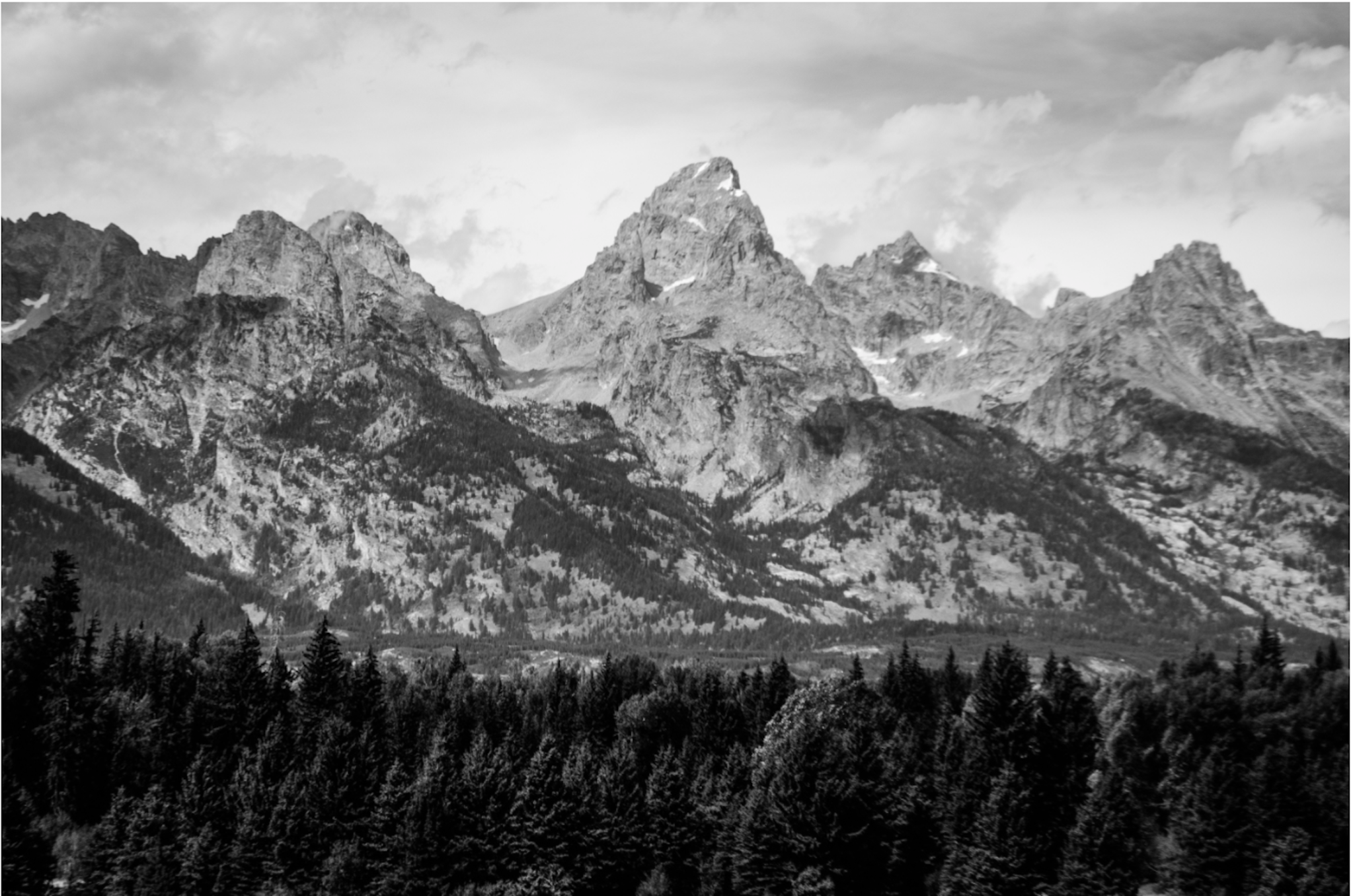 Screen Shot 2018-08-29 at 9.44.51 AM